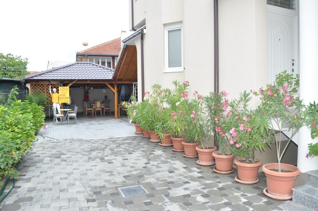 Guest House Miranda オフリド エクステリア 写真